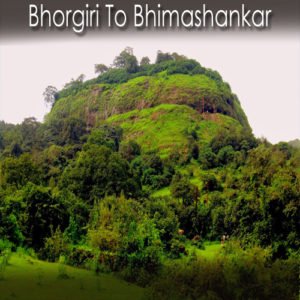 Bhorgiri Bhimashankar Trek