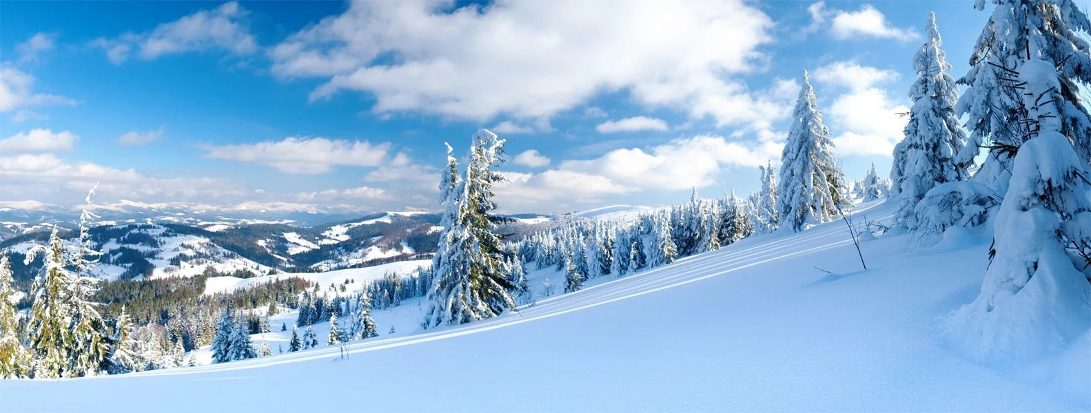 manali snow skiing
